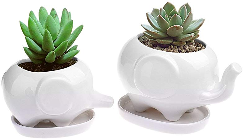 Boloniprod 2 Pcs Elephant Pots Window Boxes White Ceramic Succulent Planter Pots/Mini Flower Plant Containers with Tray Saucers Plant Window Boxes