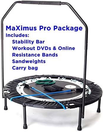 Mxl maximus online life