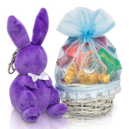 Bunny James Mini Easter Basket: Healthy Easter Candy Treats & Chocolate Gift Basket With Easter Bunny For Kids & Adults