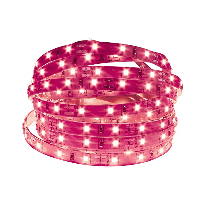 HOMELYLIFE 12V LED Strip Light Pink SMD 2835 - Non-Waterproof 16.4Ft 300 LEDs Tape Lights for Home, Party, DIY Decor and More - Pink Coating