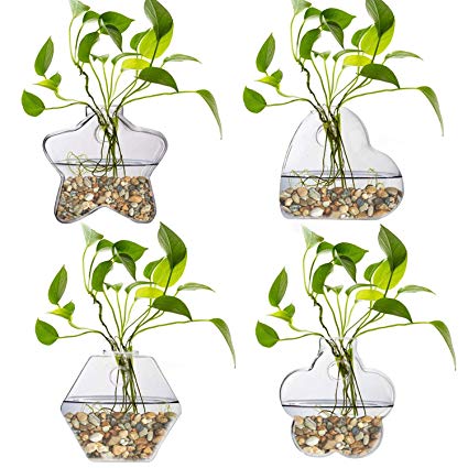 jiabang 4 Pack Wall Mounted Hanging Plant Terrarium Glass Planter Vase Flower Container for Home Decor,Air Plants,Hydroponics Plants