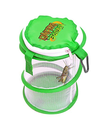 Nature Bound NB528 Pop Up Critter Catcher Habitat Kit with Carabiner Clip & Zipper Lid, One Size, Green