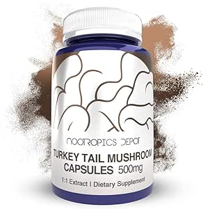 Nootropics Depot Turkey Tail Mushroom Capsules | 500mg | 60 Count | Trametes versicolor