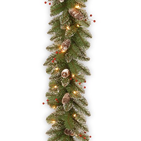 National Tree 9 Foot by 10 Inch Glittery Mountain Spruce Garland with Red Berries, White Tipped Cones and 50 Clear Lights (GLM1-300-9A-1)