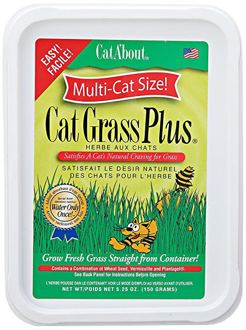Miracle Care Cat-About Multi-Cat Grass, 5.25 Ounce