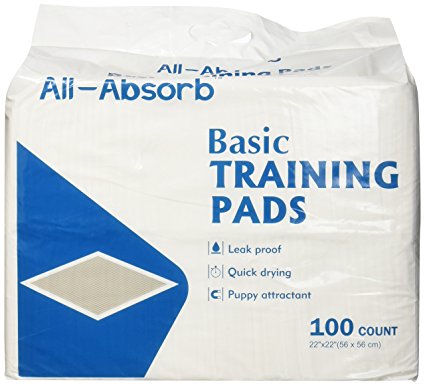 All-Absorb Basic Training Pads, 100Count, 22" by 22"