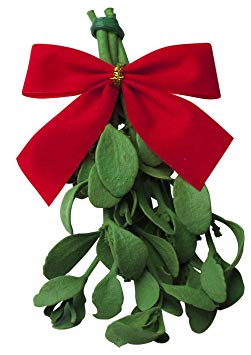 Enroot Products Real Mistletoe Preserved