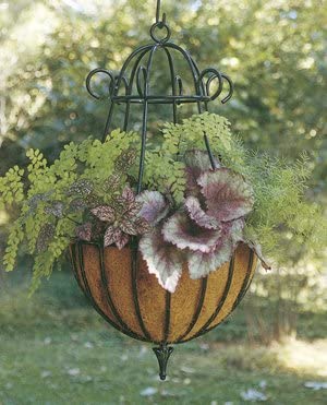 16Inch Peacock Hanging Basket Compatible Liners
