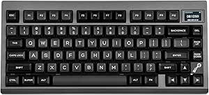 EPOMAKER TH80 PRO V2 Wireless Gaming Keyboard with Screen, BT5.0/2.4G/USB-C Gasket-Mounted Custom Keyboard, Hot Swappable, VIA Mechanical Keyboard for Win/MAC (Shadow Black, Budgerigar Switch)