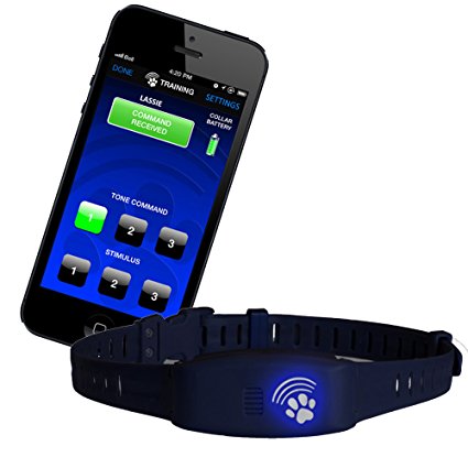 High Tech Pet Bluefang Smart Phone Remote Dog Training and Bark Control Collar, BF-16, Navy Blue