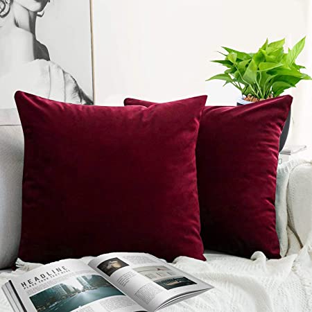 JUEYINGBAILI Throw Pillow Covers Velvet Decorative 2 Packs Ultra-Soft Pillowcase Solid Color Square Cushion for Farmhouse,Couch,Chair,Sofa,Bedroom,Car,18 x 18 Inch,Wine Red Burgundy