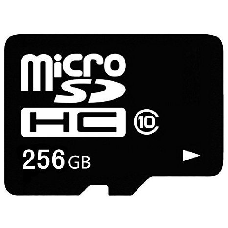 SANTIN256GB Class 10 Micro SDXC up to 48MBs with Adapter Memory Card