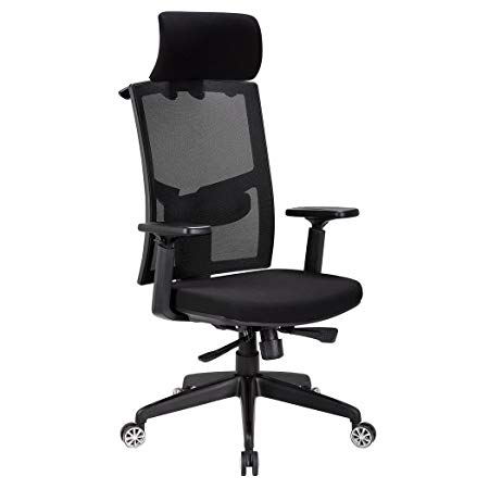 Modrine Mesh Chair - Adjustable Swivel Office Task Desk Chair (Black2)