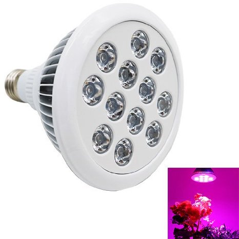 KINGBO™ New Super Bright 24W LED Growing Light,More Brighter 30% than Others,E27 Grow lamp for Indoor Garden Greenhouse Hydroponic,VEG and Flower.KB-GL24W