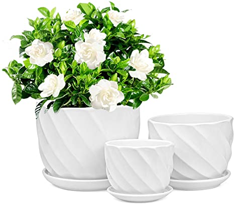 Foraineam Set of 3 Round Modern Ceramic Planter Pot Small to Large Sized Garden Flower Plant Pots White Succulent Cactus Containers with Drainage and Saucer