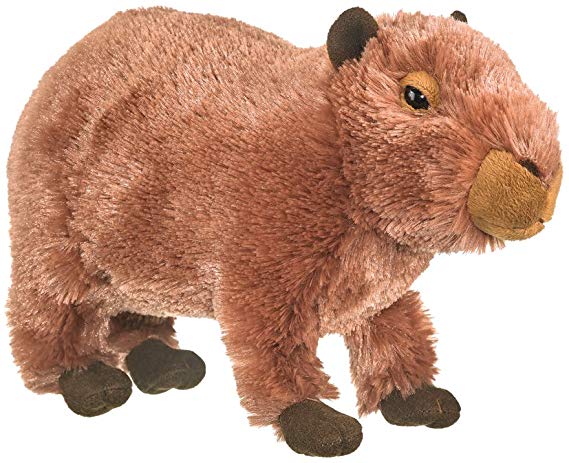 Conservation Critters Capybara Pup Plush Toys 11.5" Stuffed Capybara Pup, Kids Stuffed Animals