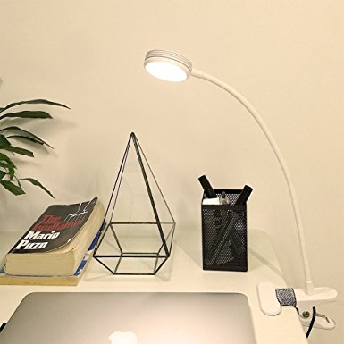 LEPOWER Super Bright Clip on Light/ Light Color Changeable/ Night Light Clip on for Desk, Bed Headboard and Computers (White)
