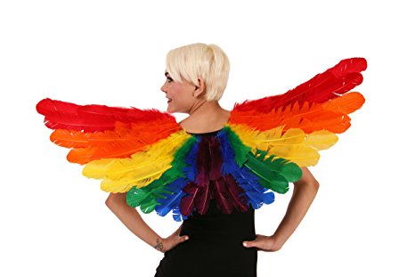 Zucker Feather Products Rainbow Wing, Large