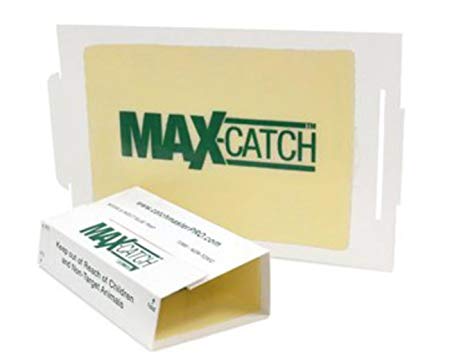 MAX CATCH Sticky Peanut Butter Scented Best Mouse & Insect Glue Boards on The Market Better Then Trapper LTD , JT Eaton , Victor & Masterline - 12 Pack