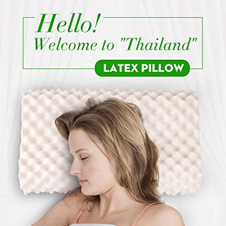 TAYGETE Latex Pillows 100% Natural Thai Rubber Foam Pillows Soft Memory Ventilated Pillows for Sleeping