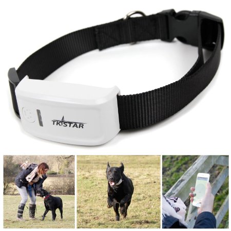 Fashion Mini GPS Tracker for Small PET Dog Cat GPS Tracker Locator Free Collar Free Online Tracking Platform
