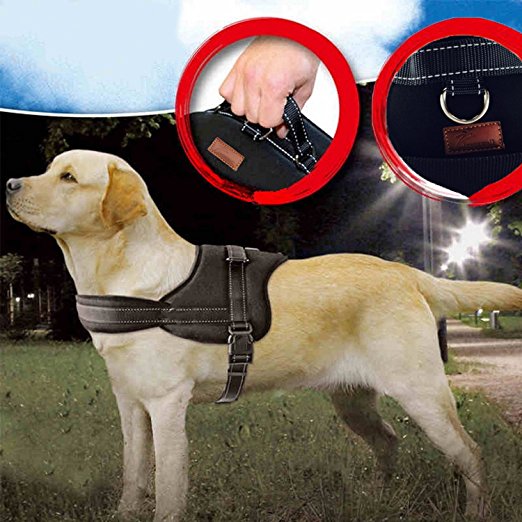 Jasonwell No Pull Dog Harness Dog Leash Padded Pet Walking Harness Heavy Duty for Dogs
