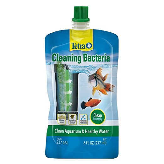 Tetra Cleaning Bacteria