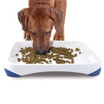 Petstages Perfect Pace Feeding Tray