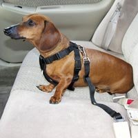 HDP Car Harness Dog Safety Seat Belt Gear Travel System