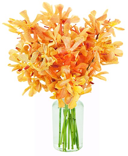 Kabloom  Gatsby's Golden Mokara Orchids (10 stems) - With Vase