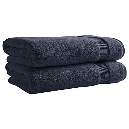 Rivet Classic Supima Cotton Bath Towels, Set of 2, Denim Blue