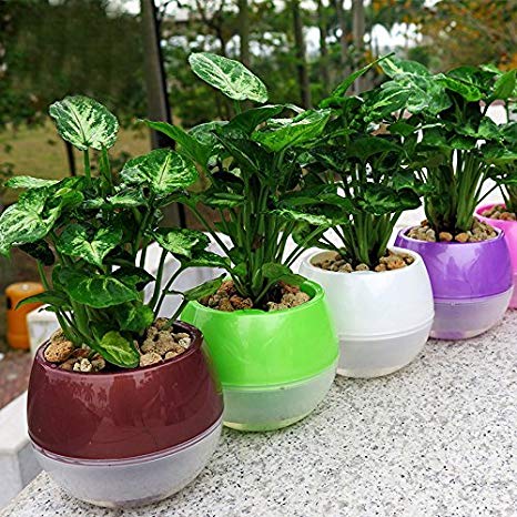 Mkono 3 Pack Self Watering Planter Plastic Flower Pot 5 Inch (Mixed Colors)