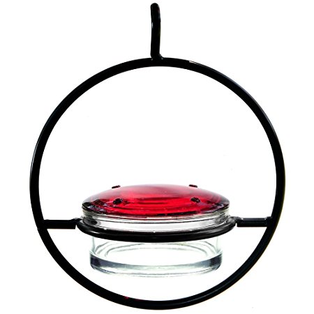 Best Small Hanging Hummingbird Feeder - Beautiful Glass & Decorative Metal Design - Attracts Hummers Like Crazy - 100% Guaranteed!