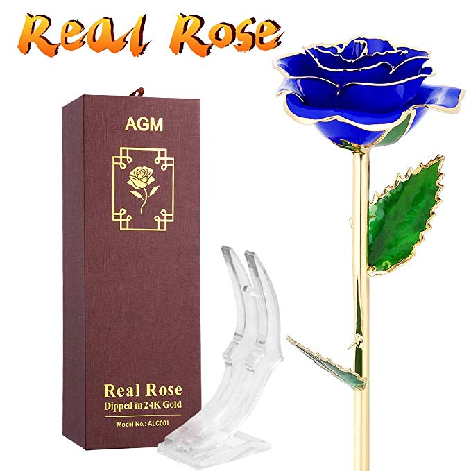 AGM 24k Gold Rose, Real Rose Flower Dipped in Gold with Stand in Gift Box, Gift for Mother's Day, Valentine's Day, Wedding Day, Home Decor(Blue)
