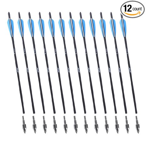 ANTSIR 20" Hunting Archery Carbon Arrow Crossbow Bolts Arrow With 4" vanes Feather and Replaced Broadhead/Tip(Pack of 12)