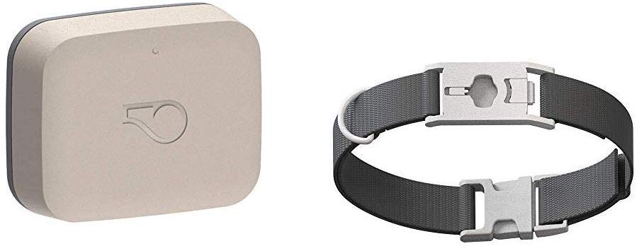 Whistle Go Health and Location Tracker for Pets - Taupe/Squirrel Grey Collar Combo - Size L