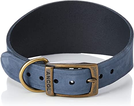 Ancol Timberwolf Greyhound Collar Blue 34-43cm