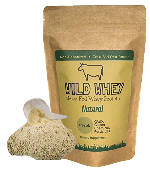 Grass-Fed Whey Protein, Cold Processed Non-Denatured, Biologically Active, GMO-Free Protein Concentrate Made Directly From Grass-Fed Milk (1.32 pound (600g) Natural/Unflavored)