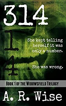 314 (Widowsfield Trilogy Book 1)