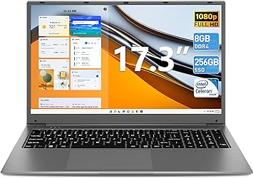 SGIN Laptop, 17 Inch 8GB RAM 256GB SSD Laptops Computer with Intel Celeron Quad Core Processor, IPS FHD Display, Webcam, Dual Wi-Fi, Buletooth 4.2, 8000Amh Battery(Gray)