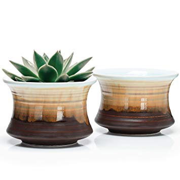 Greenaholics Succulent Plant Pots - 4.3 Inch Flowing Glaze Ceramic Bottle Pots, Cactus Planters, Flower Pots with Drainage Hole, Chocolate Black, Set of 2