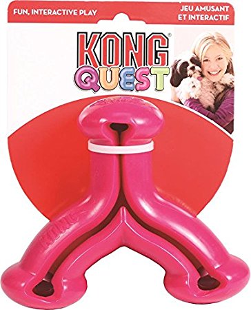 KONG Quest Wishbone Treat Dispensing Dog Toy, Large, Colors Vary