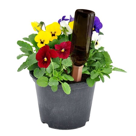 PLANTER PERFECT VACATION WATERING - Automatic Self Water, Plant Spikes Water House Plants and Flowers - Recycled Wine Bottle Drip Irrigation System With Safer Packaging - BONUS GARDENER EBOOK BUNDLE!