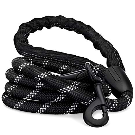 Strong Dog Leash, Reflective Rope, Chew Proof Paracord for Medium and Large Dogs, Durable Metal Clasp, Attaches to Pet Collar, 5 Foot Length (Black)