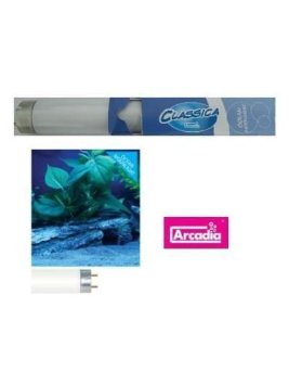 Aquarium Light Arcadia Classica T8 Fluorescent Lamp/Bulb/Tube - Ocean Moonlight (18w - 24in)