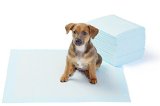 AmazonBasics Pet Training and Puppy Pads
