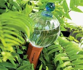 12oz Glass Watering Globe with Decorative Blue Finial & Terracotta Plant Nanny Watering System