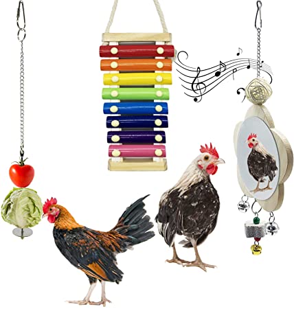 Deloky Chicken Xylophone Toy with 8 Metal Keys-Chicken Veggies Skewer Fruit Holder with Grinding Stone-Chicken Mirror Toy with Bell