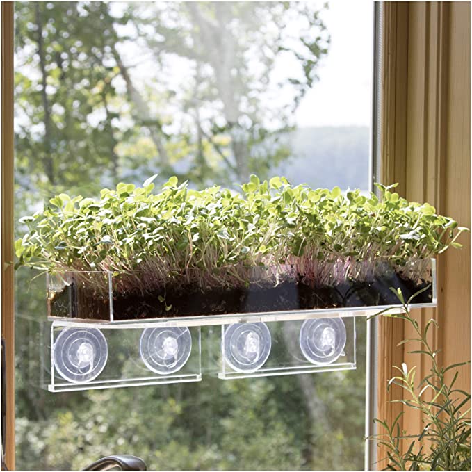 Window Garden Microgreens Bundle – Attractive, Easy and Productive Indoor Grow Kit. The Ultimate Vertical Kitchen Garden - Includes Double Veg Ledge, Acrylic Planter Tray and 5 Varieties. Super Deal.