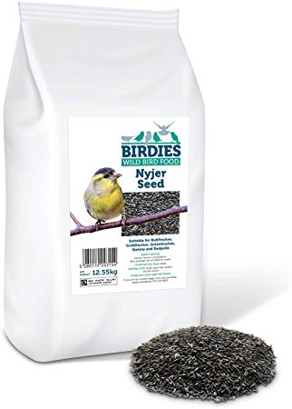Birdies Nyjer Bird Seeds - Bird Food for Colourful Wild Birds - 12.55KG Premium Nyjer Seeds